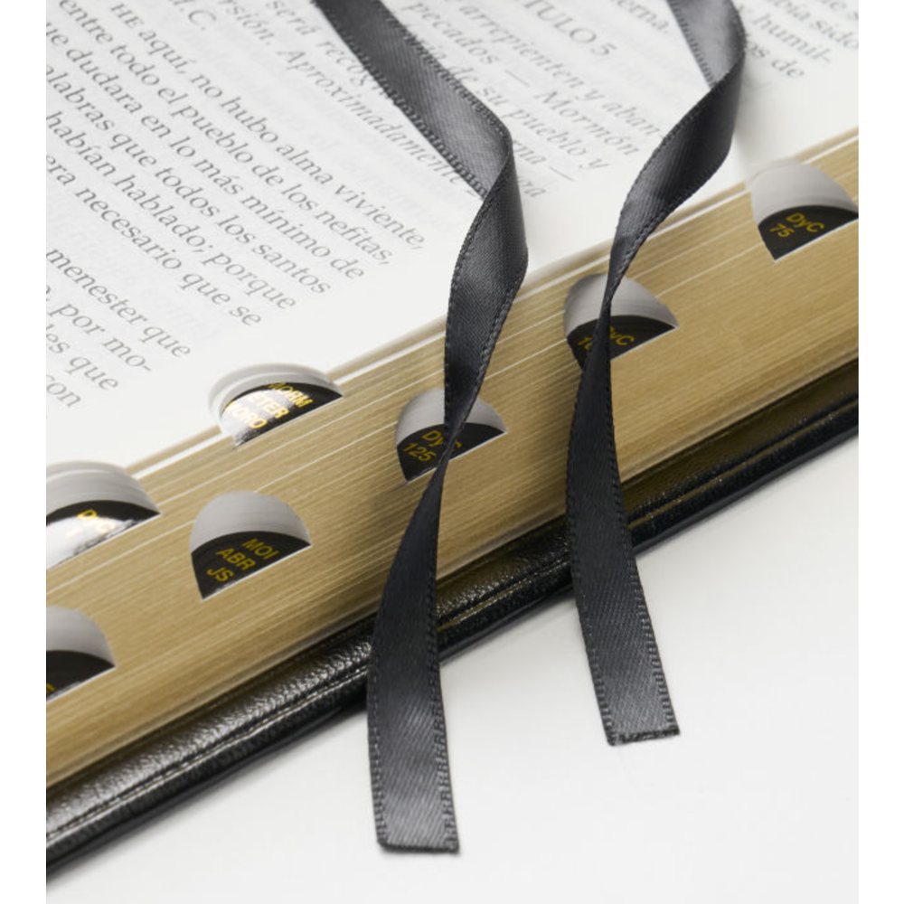 Quad Combination, Simulated Leather Regular, Indexed Black