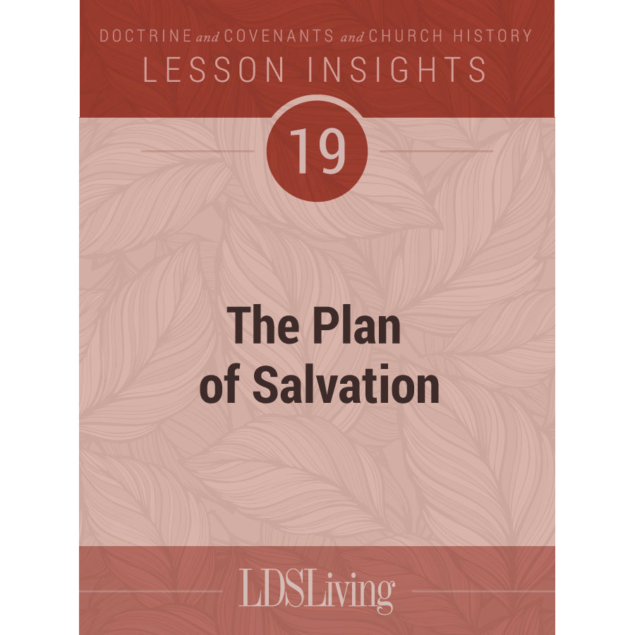 Lesson Insights Doctrine and Covenants and Church History #19, , large image number 0