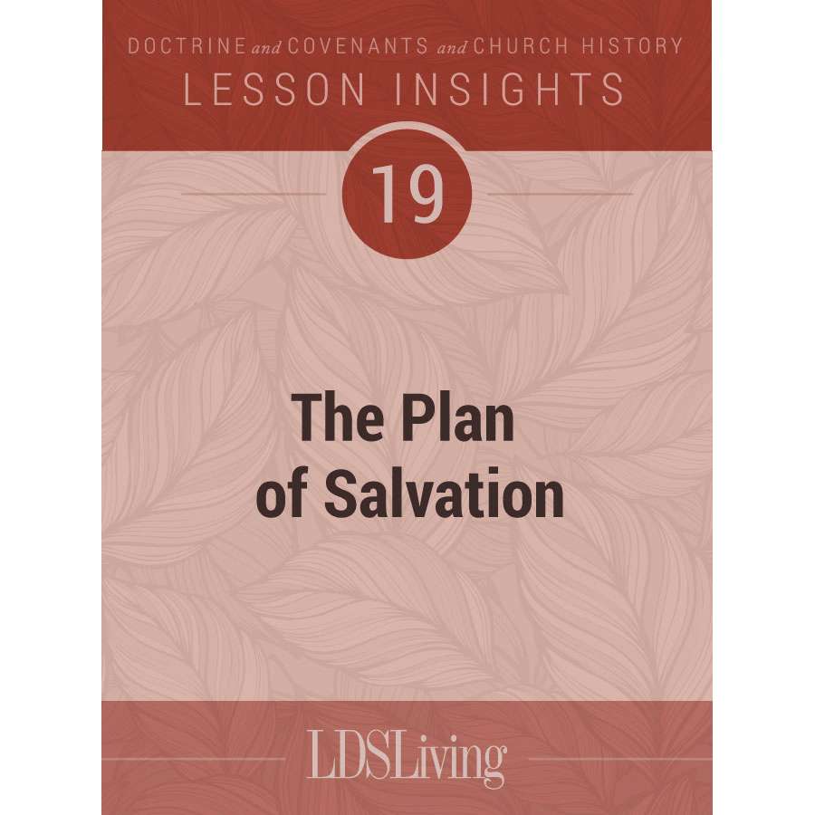 Lesson Insights Doctrine and Covenants and Church History #19