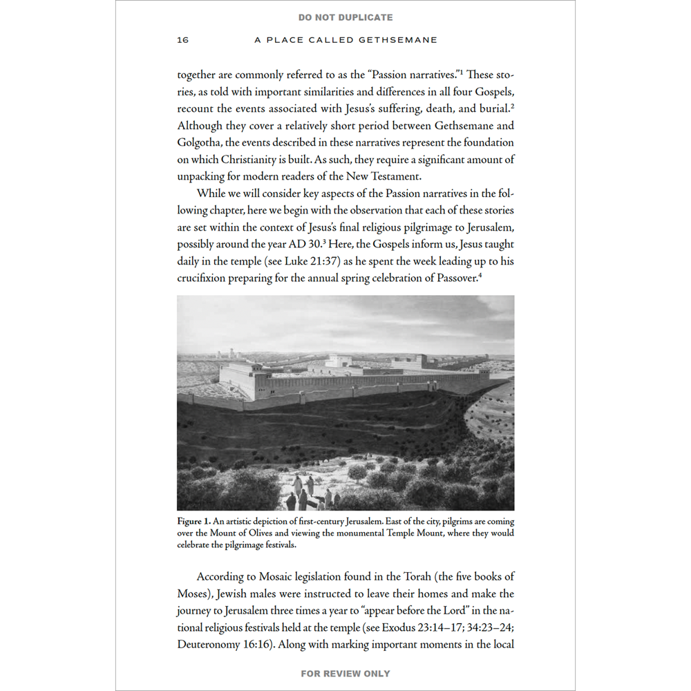 A Place Called Gethsemane, , large image number 5