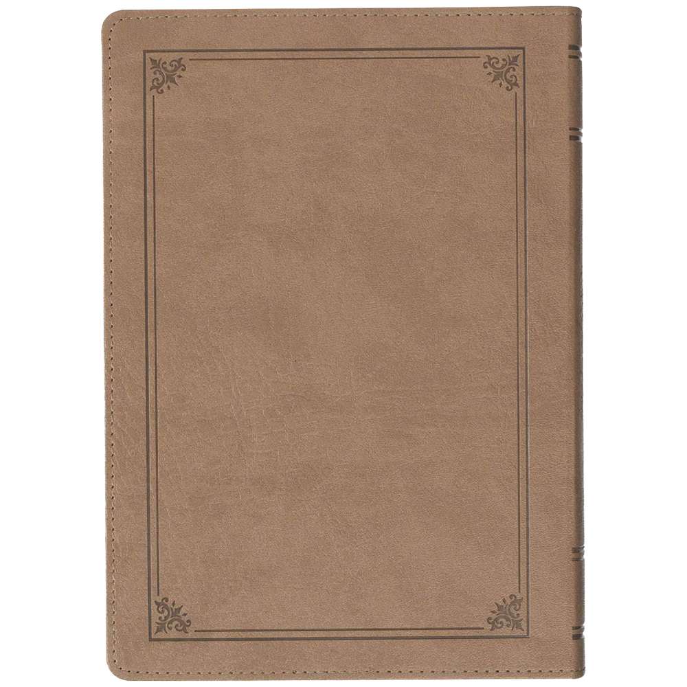 NLT Everyday Devotional Bible for Men, , large image number 4