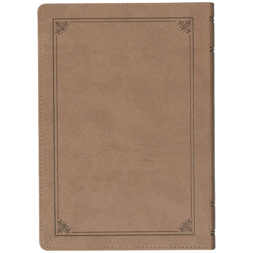 NLT Everyday Devotional Bible for Men, , large image number 4