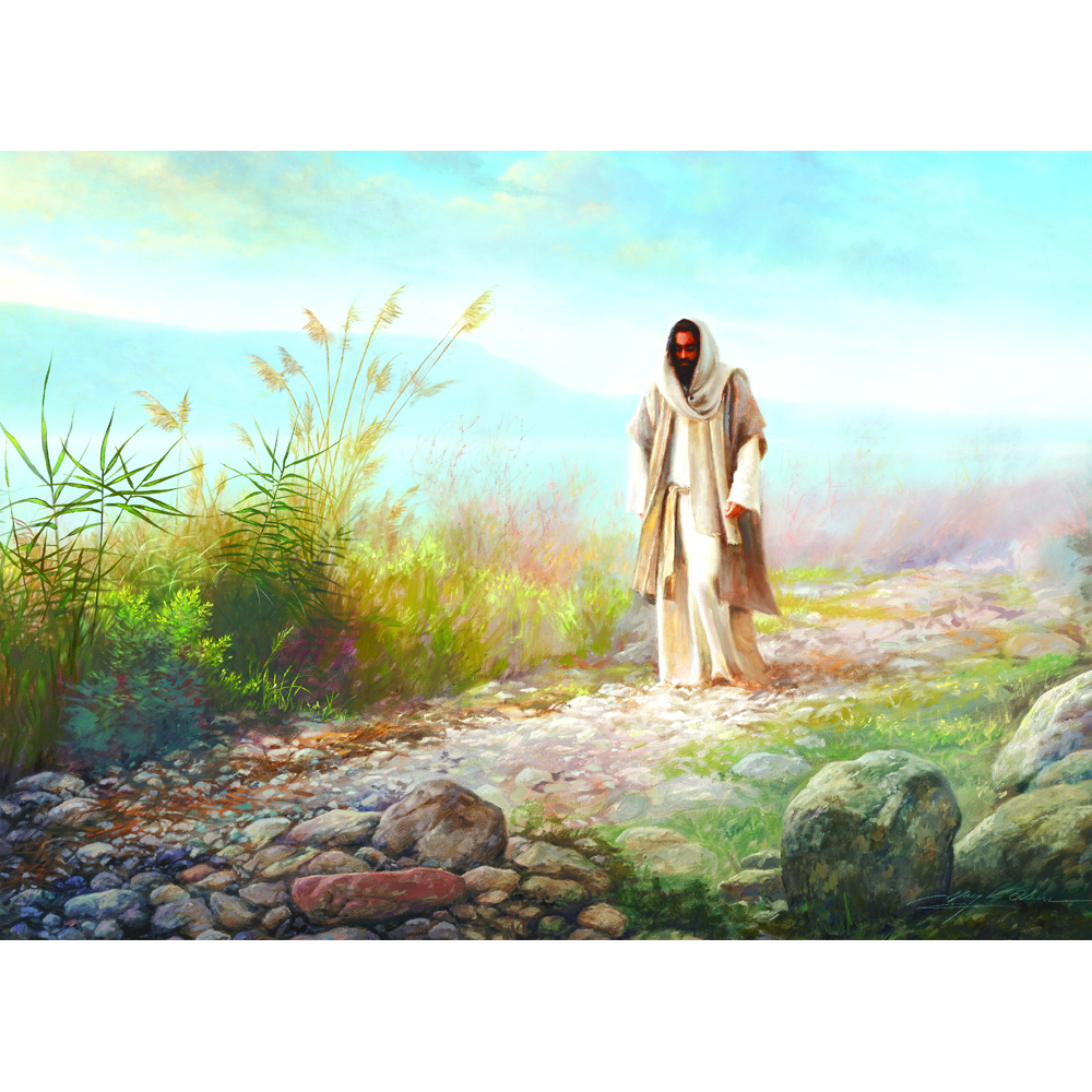 Walk in the Light 1000 Piece Puzzle, , large image number 2