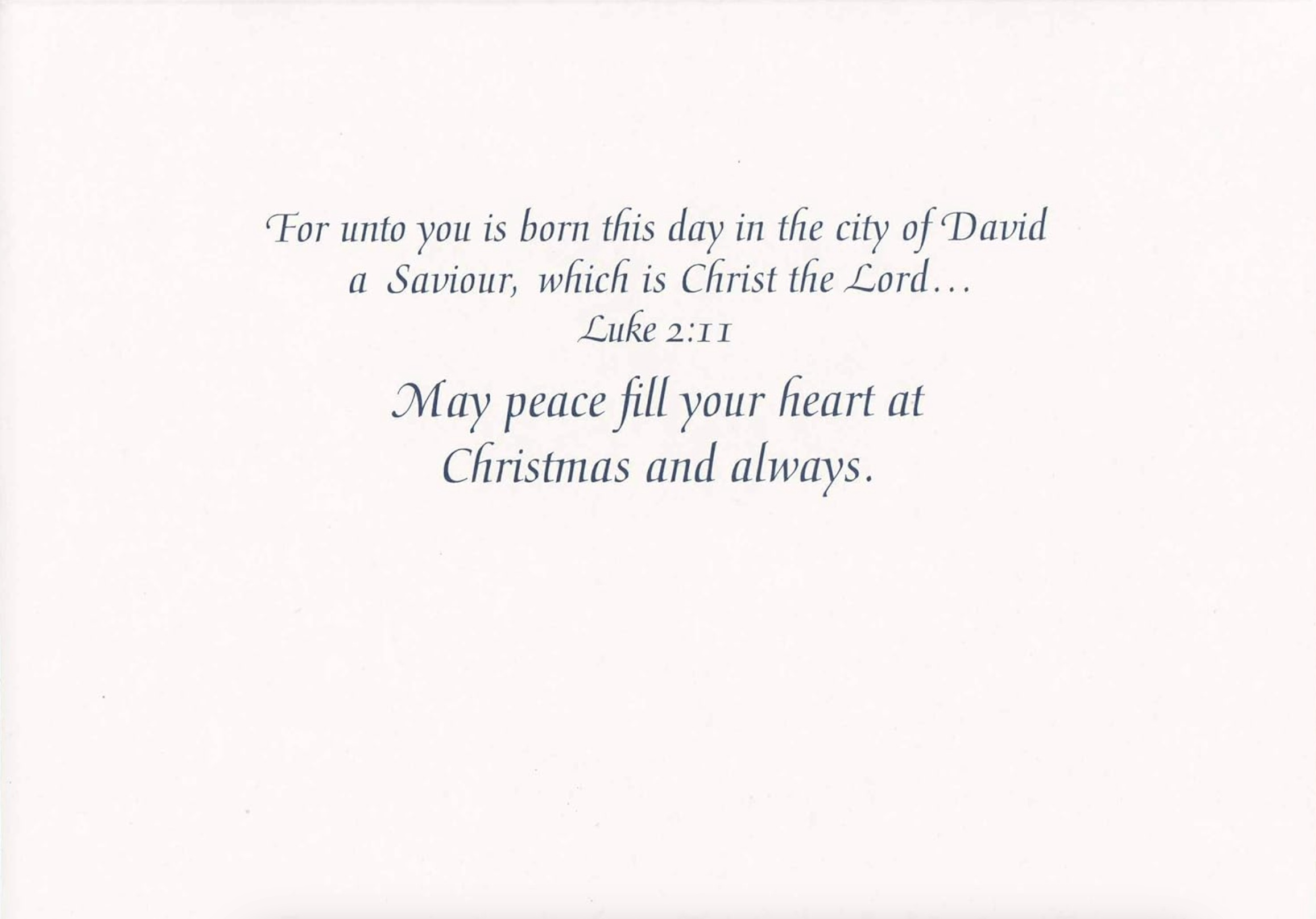 Baby Jesus with Animals Christmas Cards, , large image number 2