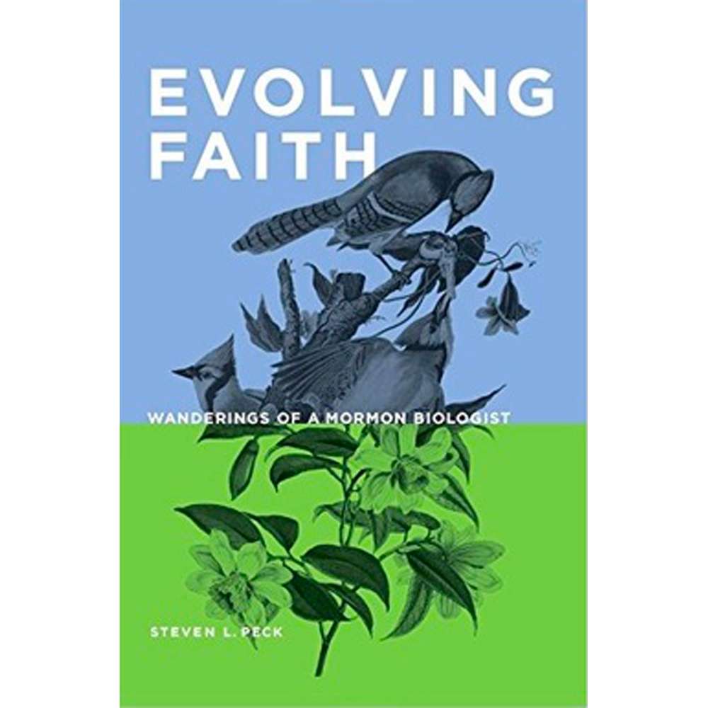 Evolving Faith 1