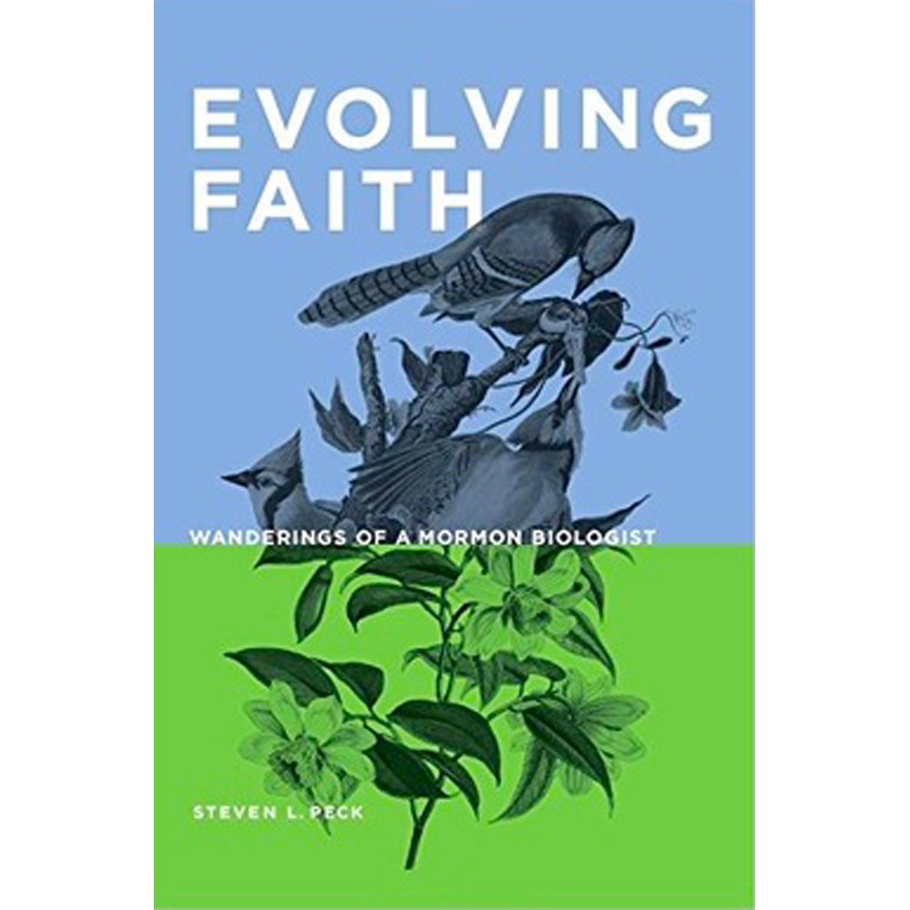Evolving Faith