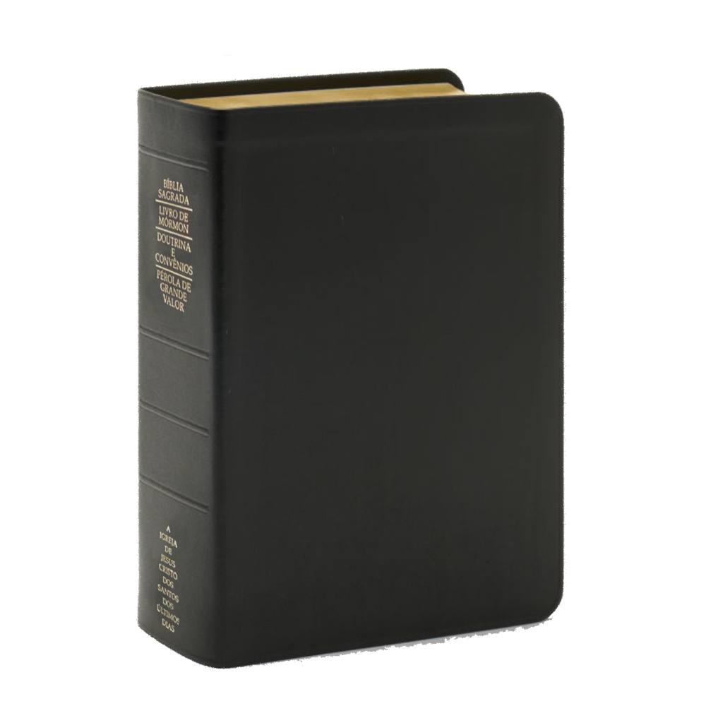 Portuguese Quad Combination, Genuine Leather, Regular, Indexed,  Portuguese Quad Combination, Genuine Leather, Regular, Indexed