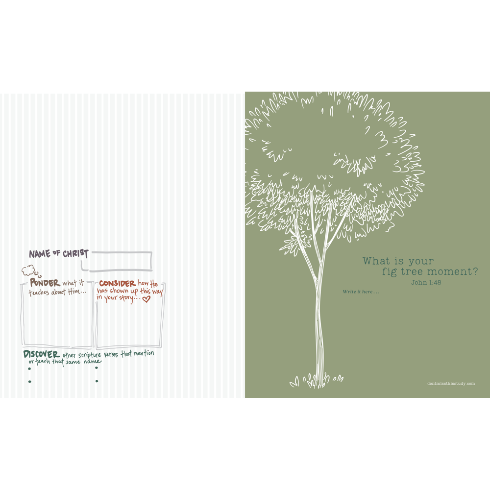 Don't Miss This in the New Testament 2023 Journal, , large image number 5