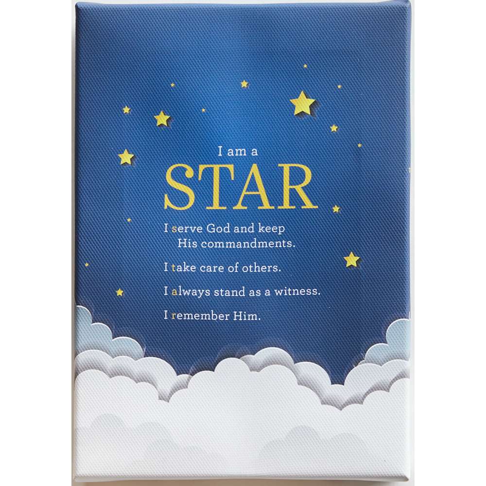 Star (5x7 Canvas Wrap), , large image number 4
