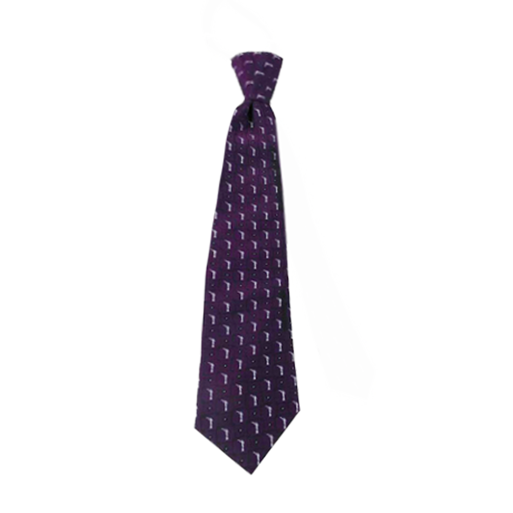 Boys' Deep Purple Angel Moroni Zipper Necktie, , large image number 0