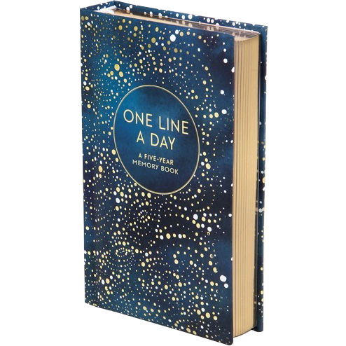 One Line a Day Journal