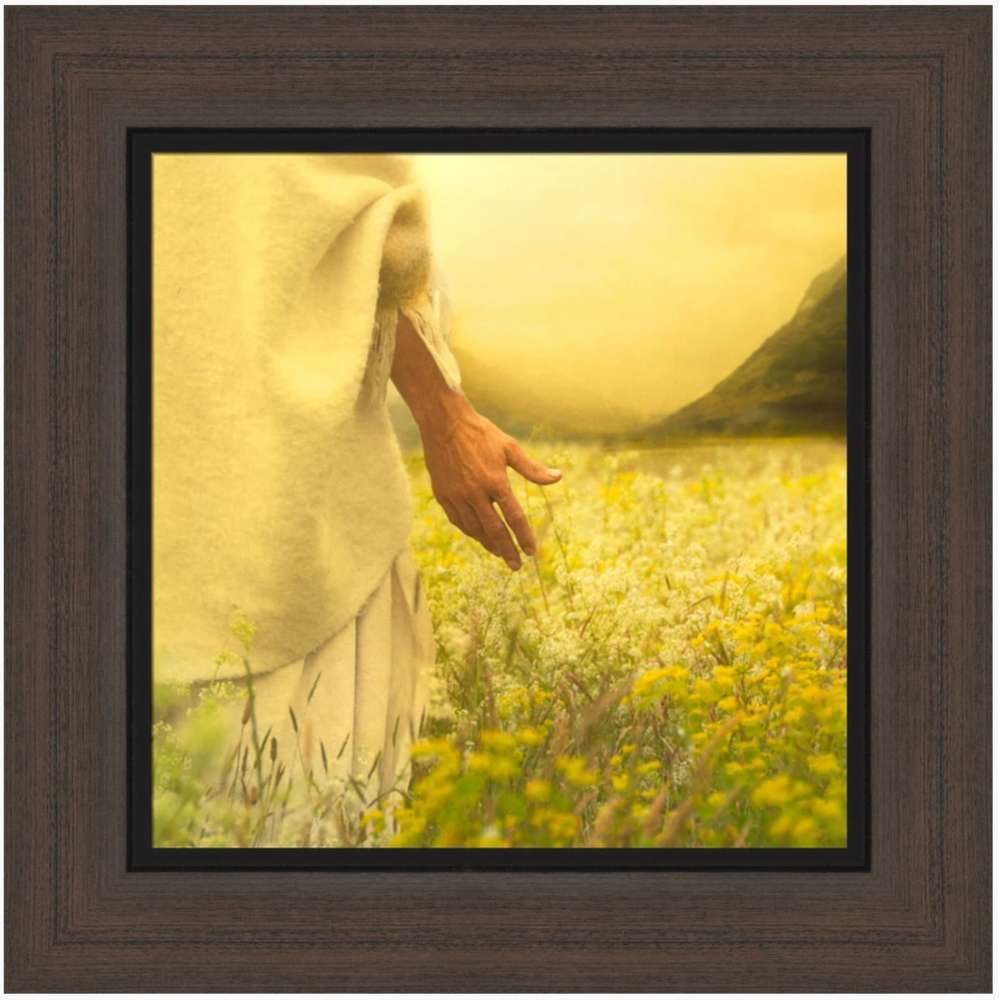 Consider the Lilies (17x17 Framed Art)