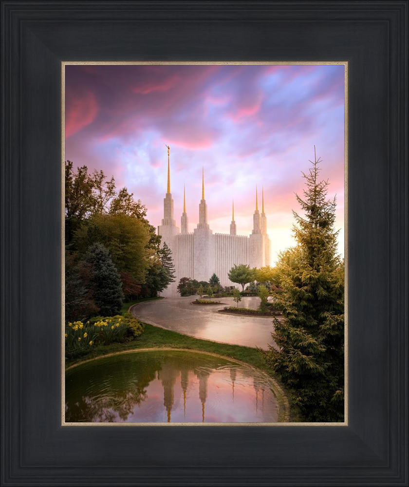 Washington, D.C. Temple, Reflections Into Eternity (19x16 Black Framed Paper Print)