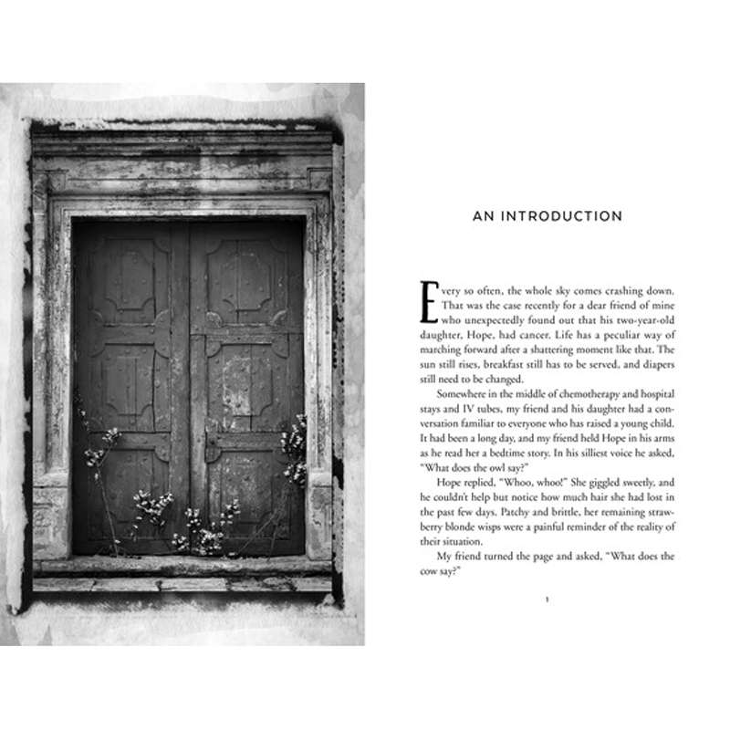 The Christ-Centered Home, , large