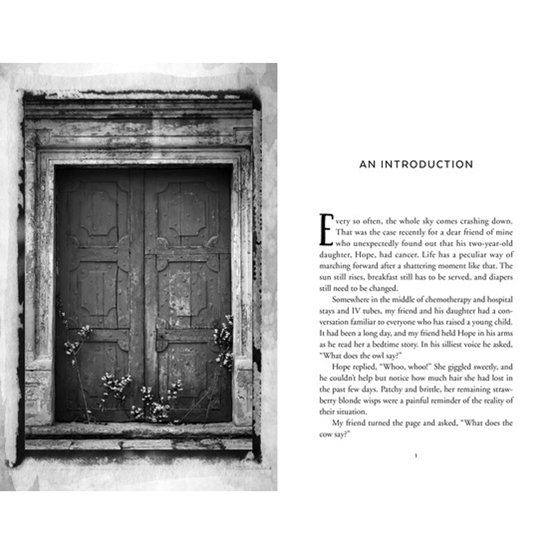 The Christ-Centered Home, , large