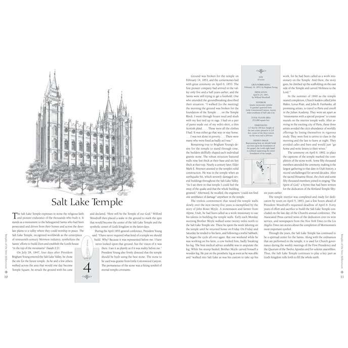 Temples of the New Millennium, , large image number 3