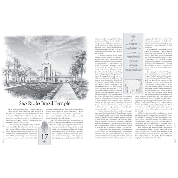 Temples of the New Millennium, , large image number 2