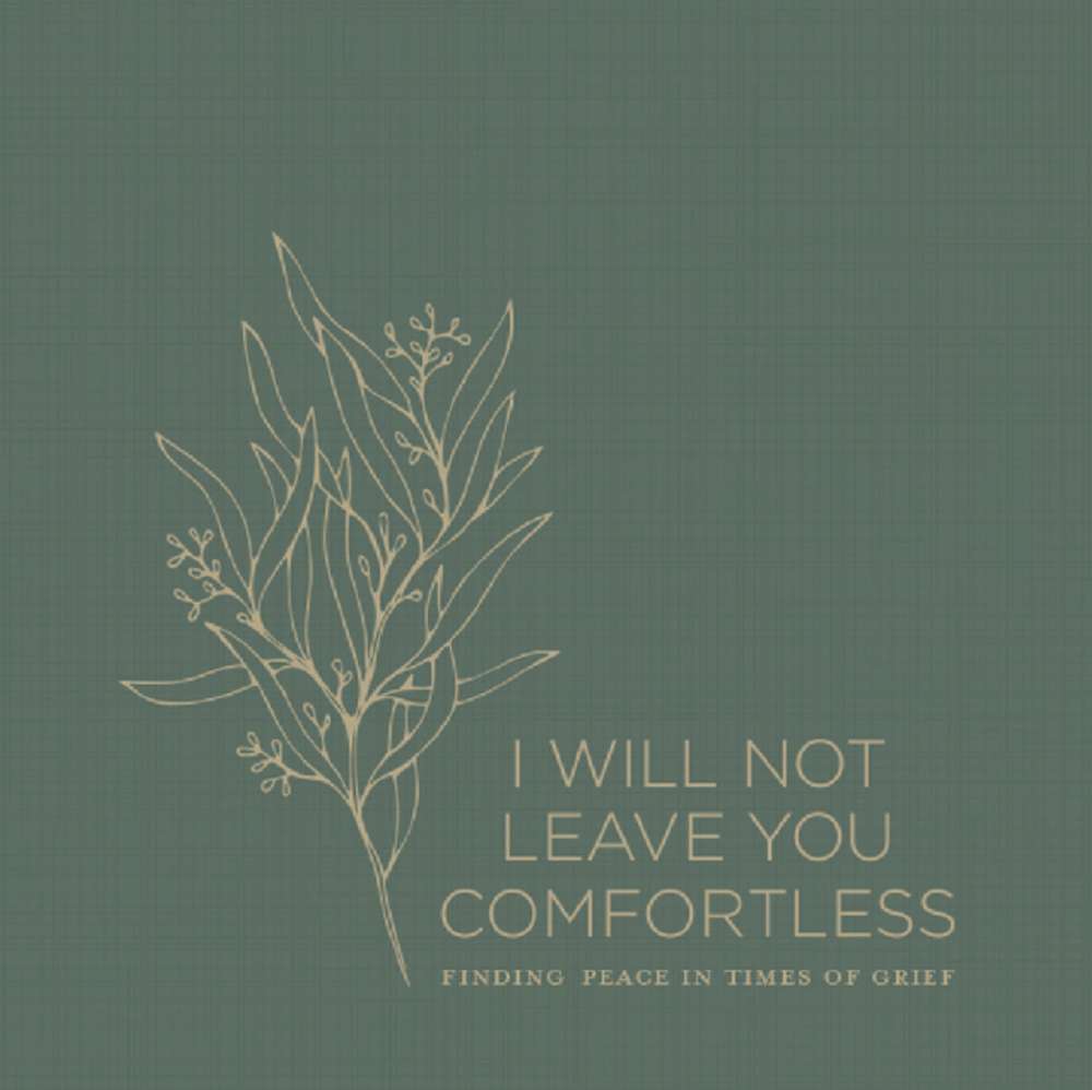 I Will Not Leave You Comfortless