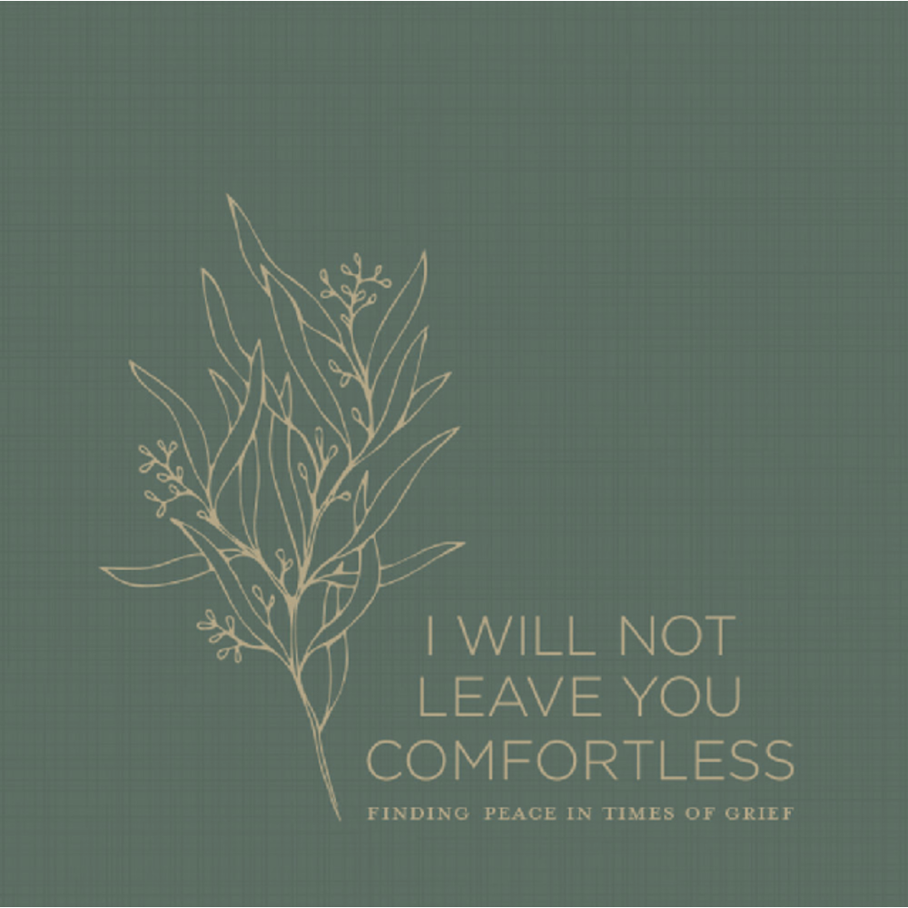 I Will Not Leave You Comfortless, , large image number 0