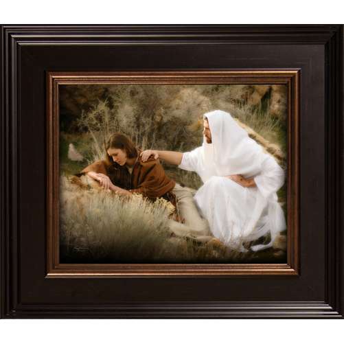 The Comforter (15x13 Framed Print)