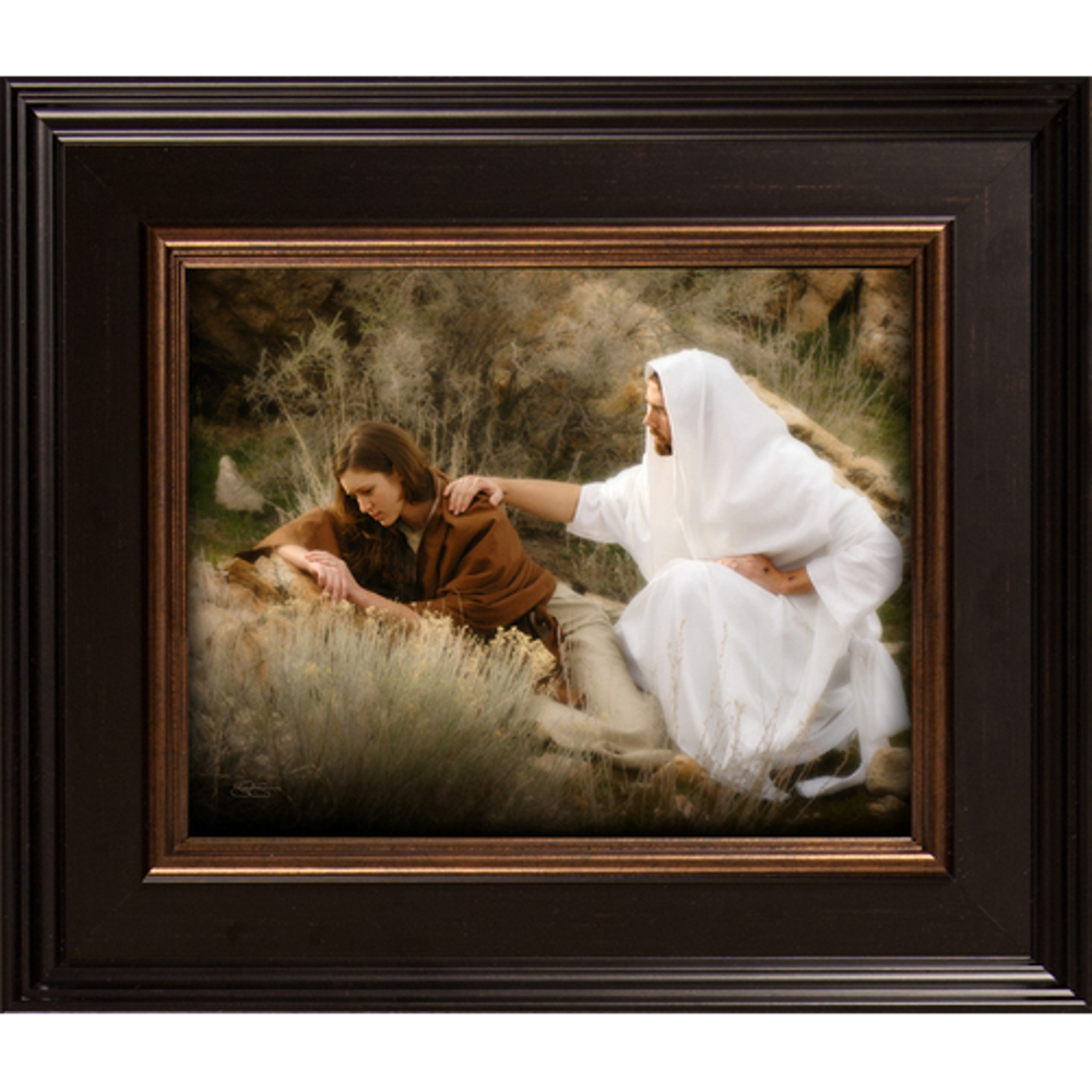 The Comforter (15x13 Framed Print),  The Comforter (15x13 Framed Print)