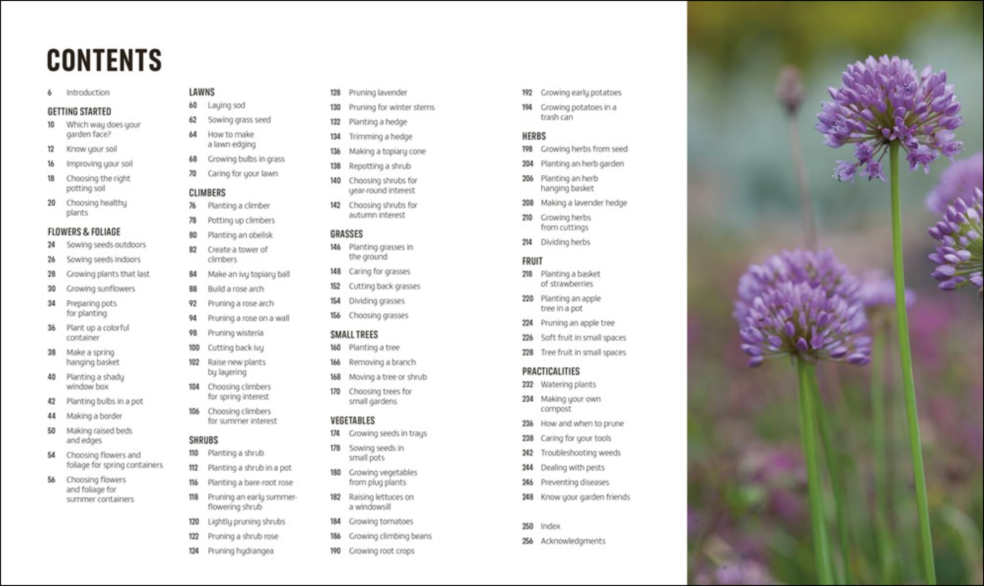 Beginner Gardening Step by Step, , large image number 1