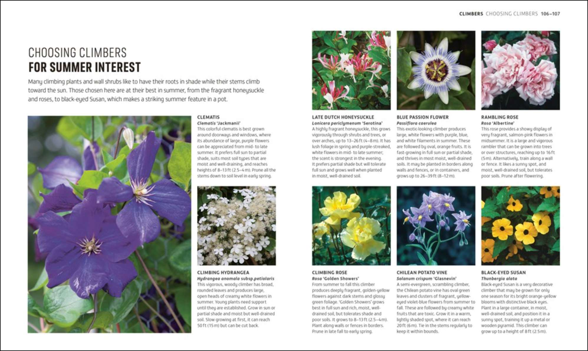 Beginner Gardening Step by Step, , large image number 2