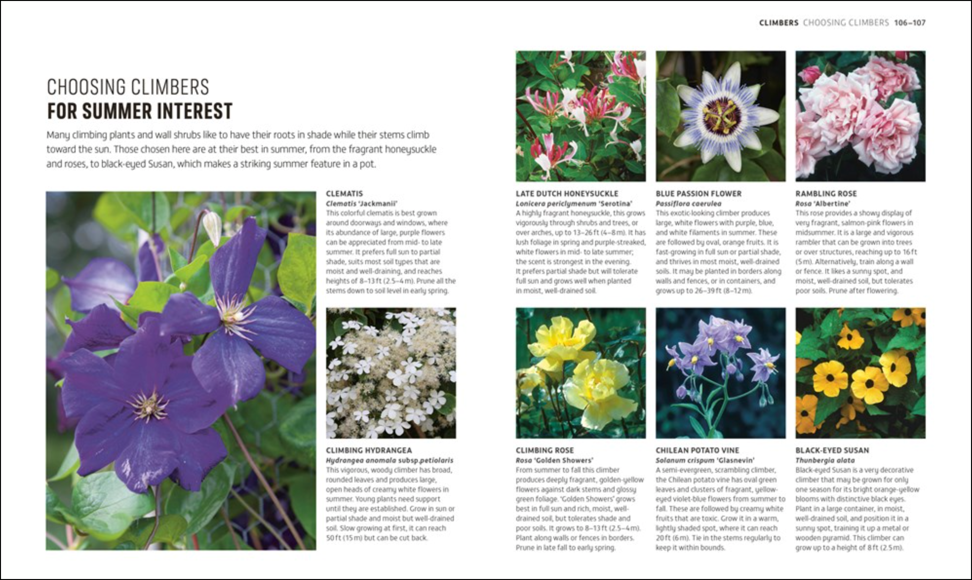 Beginner Gardening Step by Step, , large image number 2