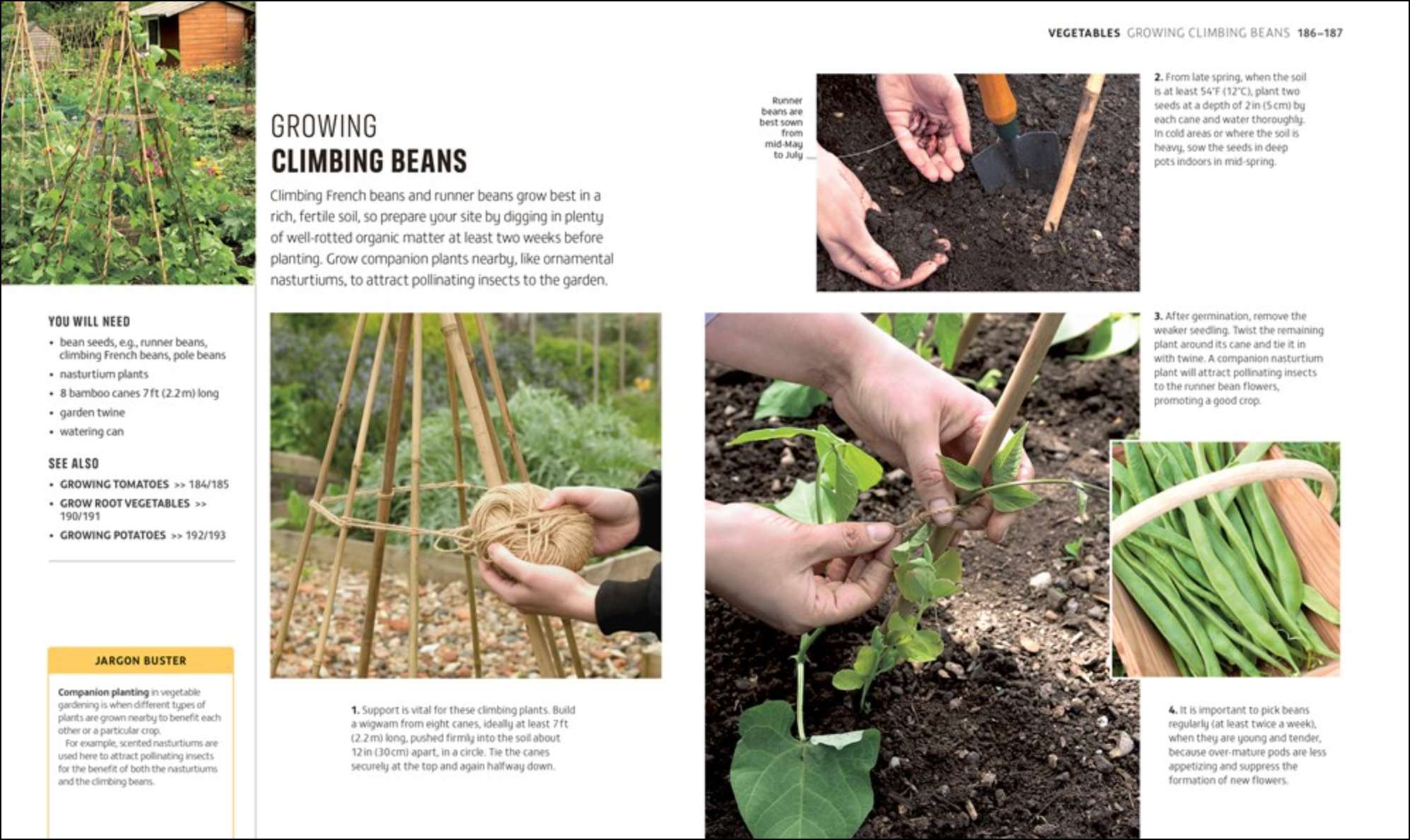Beginner Gardening Step by Step, , large image number 3
