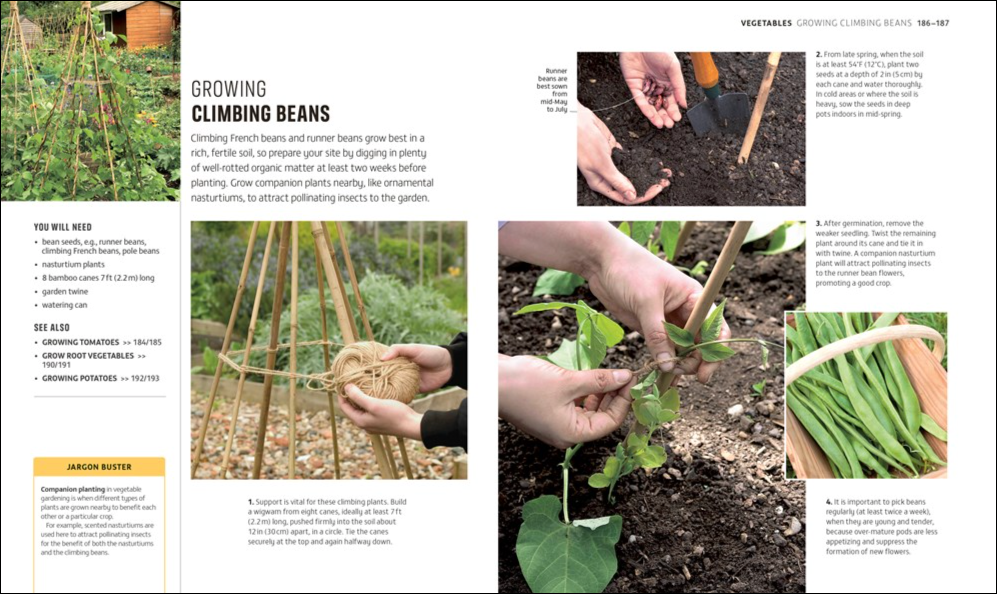 Beginner Gardening Step by Step, , large image number 3