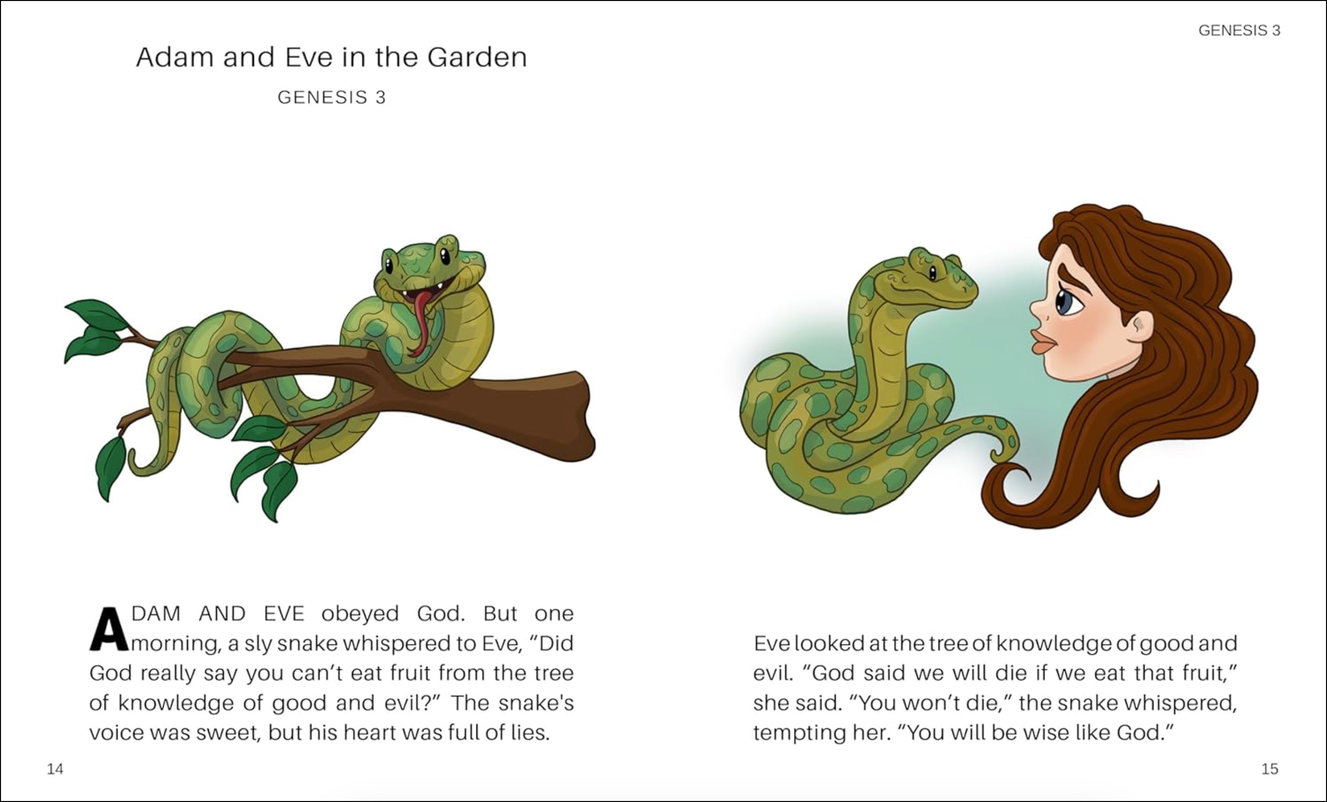 Stories of the Old Testament Box Set, , large