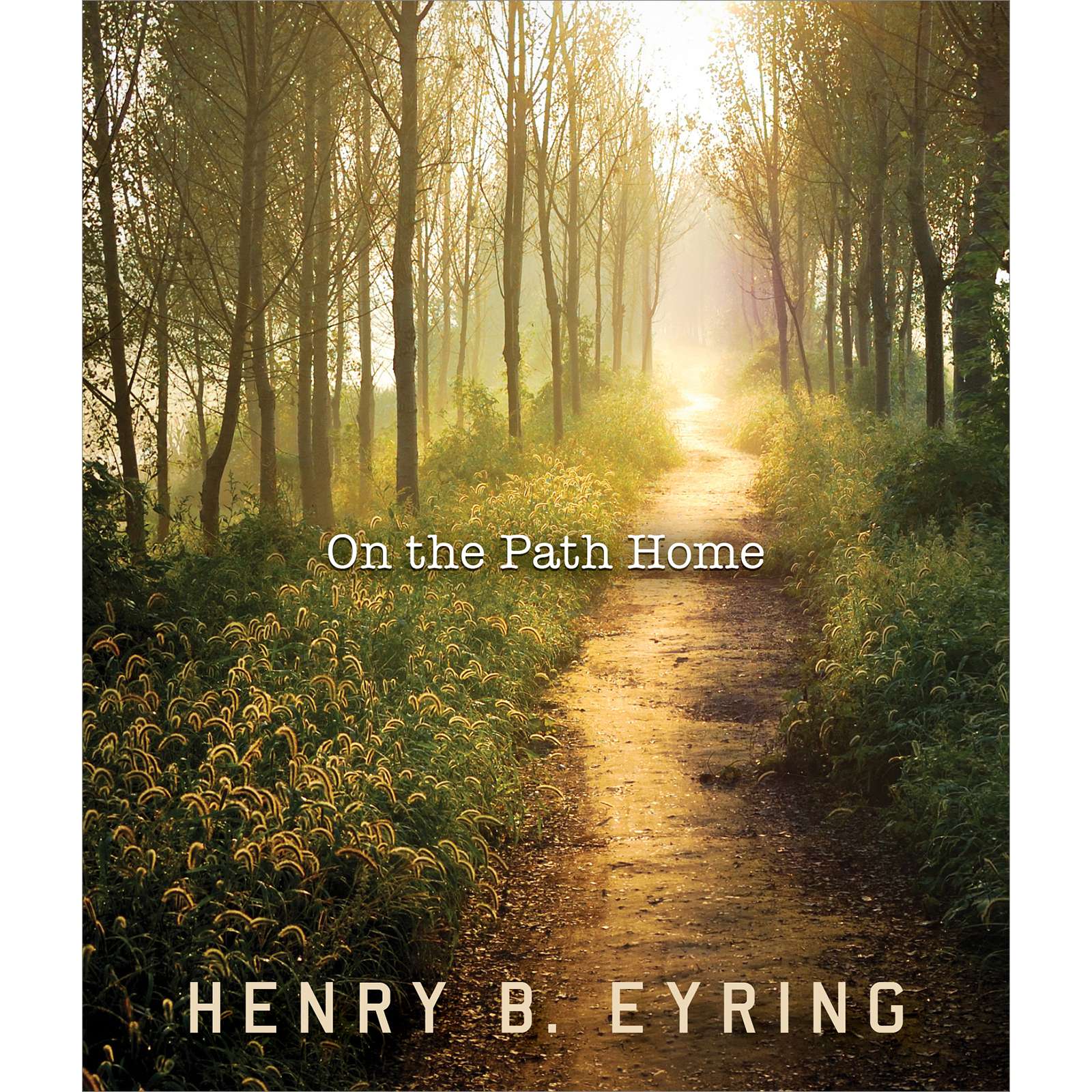 On the Path Home, , large image number 0