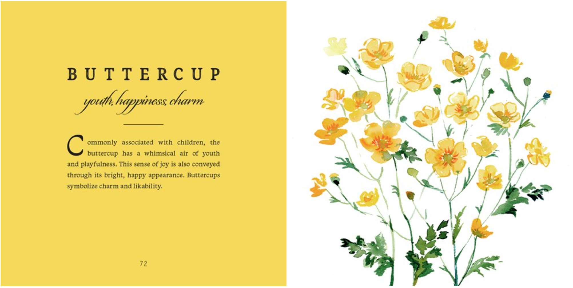 The Language of Flowers, , large image number 3