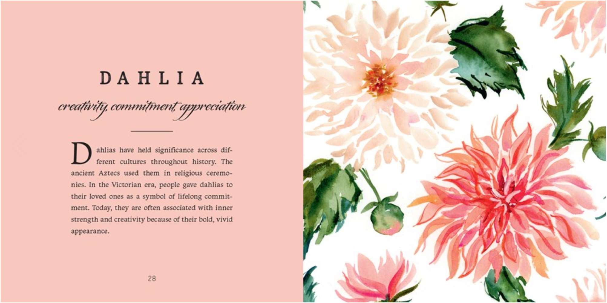 The Language of Flowers, , large image number 2