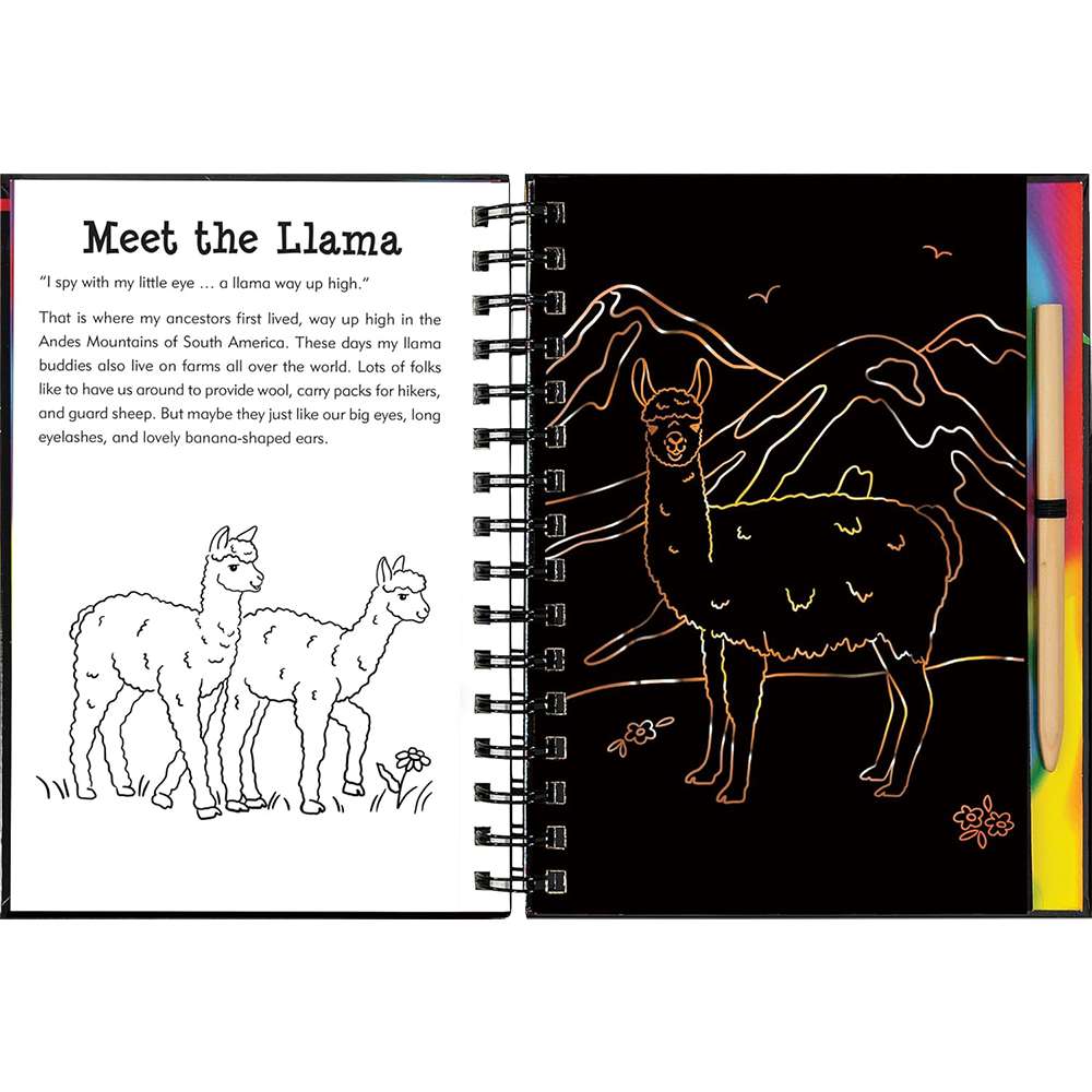 Llamas And Friends, , large image number 2