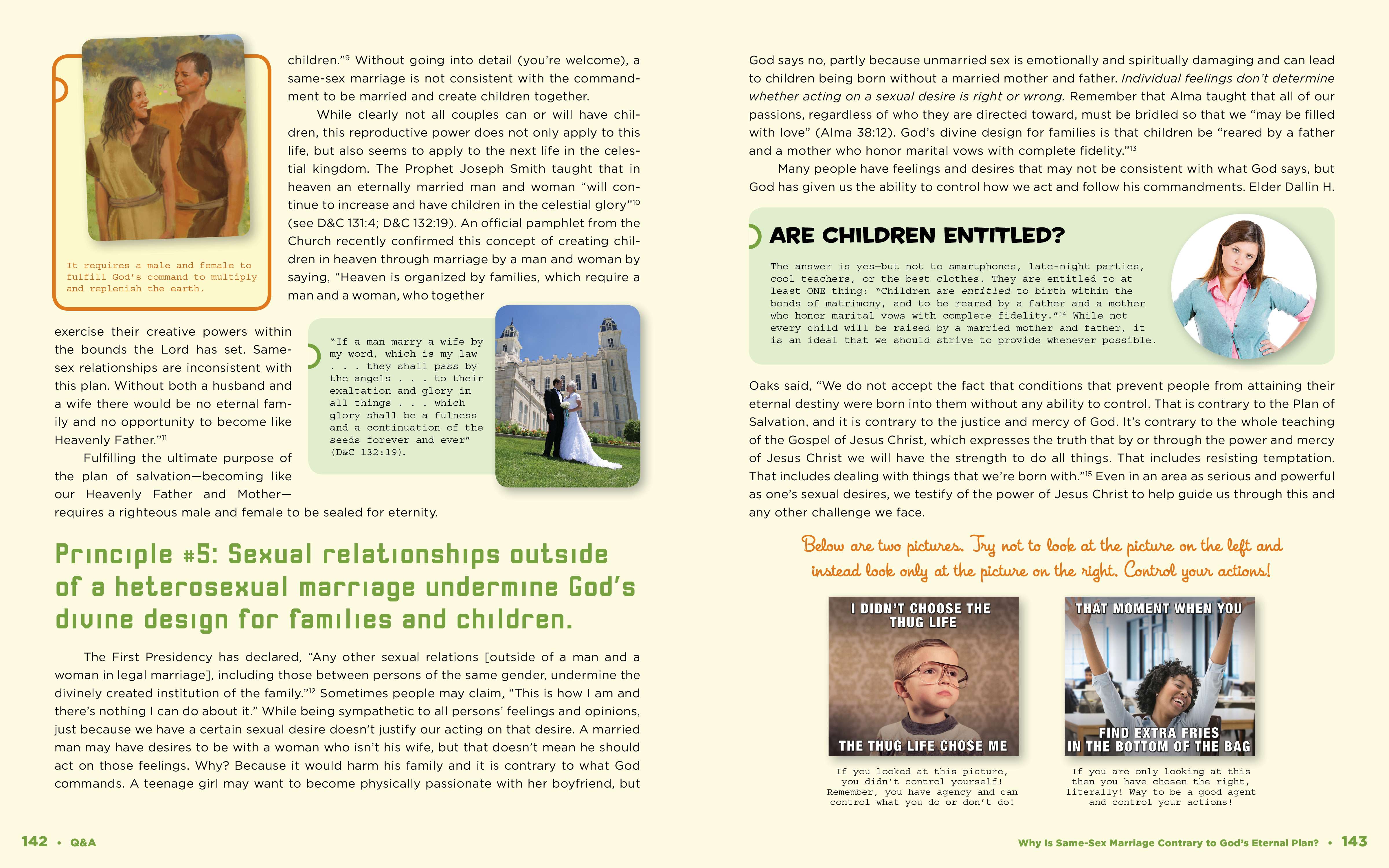 Q&A: Common Questions and Powerful Answers for LDS Youth, , large image number 2