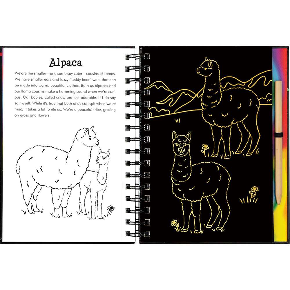 Llamas And Friends, , large image number 3
