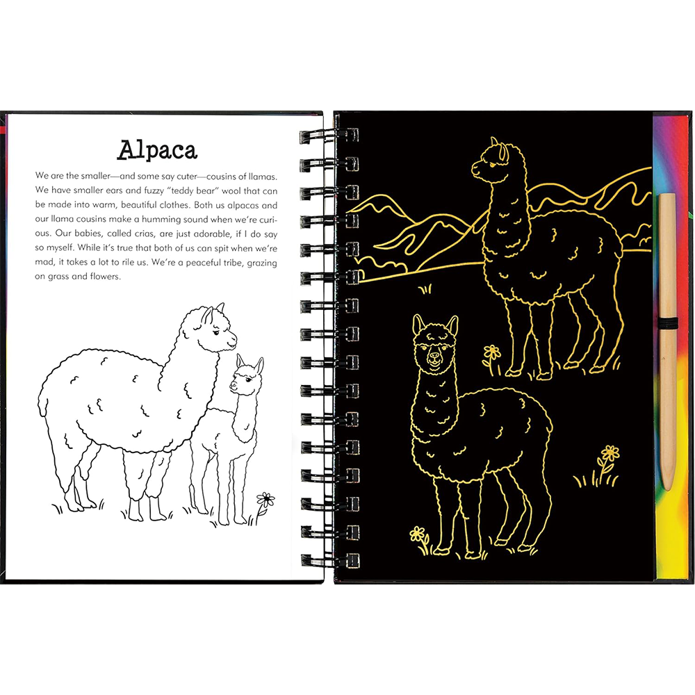 Llamas And Friends, , large image number 3