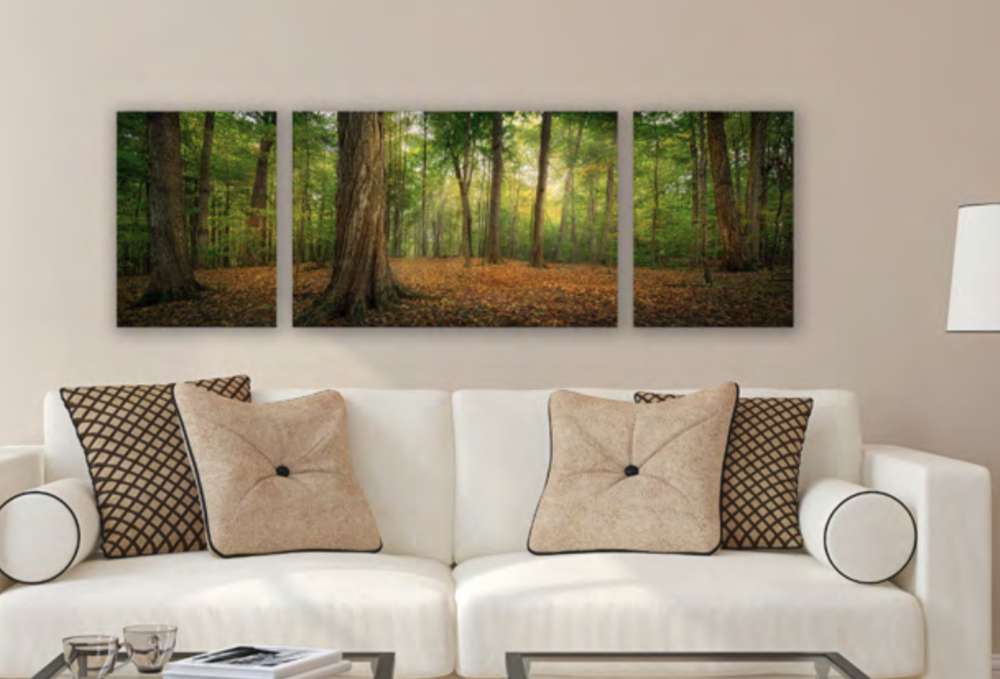 Oh, How Lovely Was the Morning Triptych (48x16 Gallery Wrap), , large