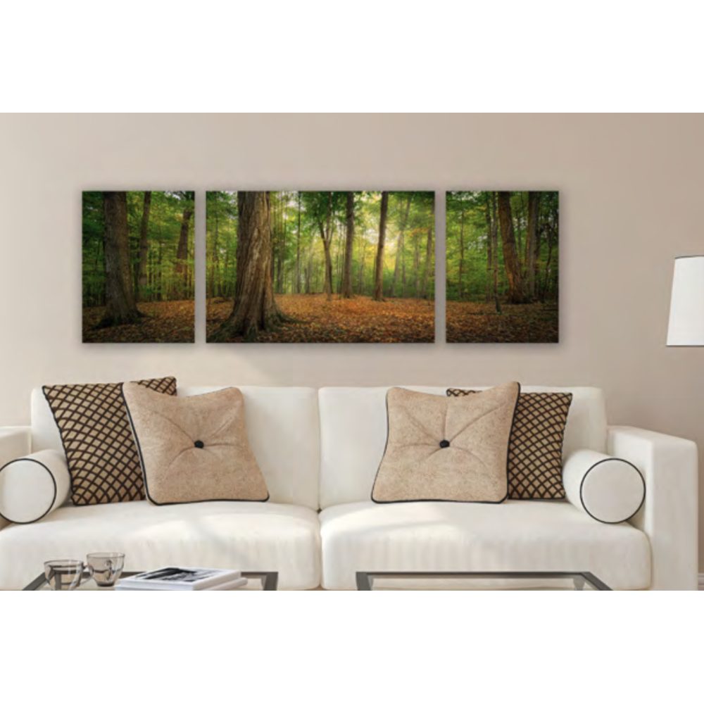 Oh, How Lovely Was the Morning Triptych (48x16 Gallery Wrap), , large