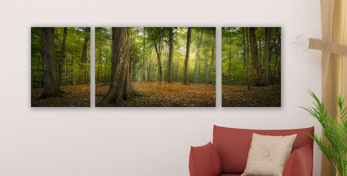 Oh, How Lovely Was the Morning Triptych (48x16 Gallery Wrap), , large image number 3