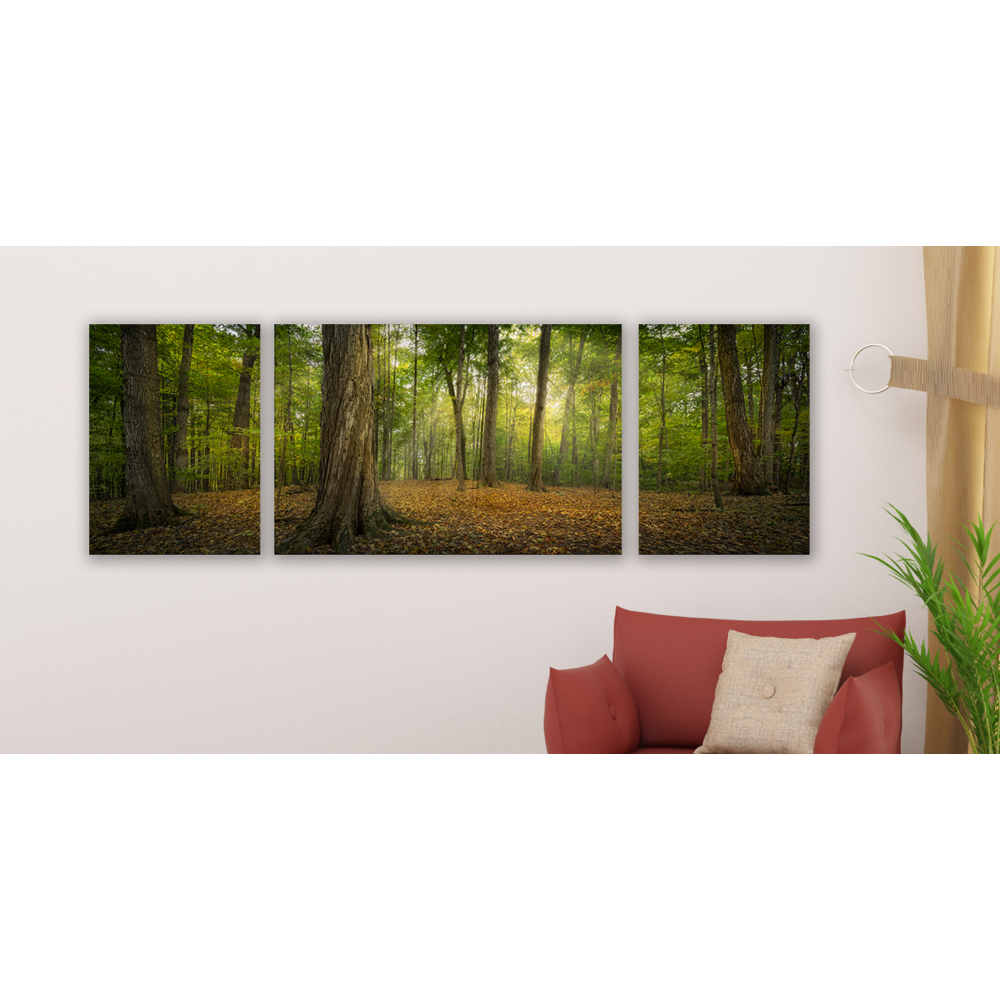 Oh, How Lovely Was the Morning Triptych (48x16 Gallery Wrap), , large image number 3