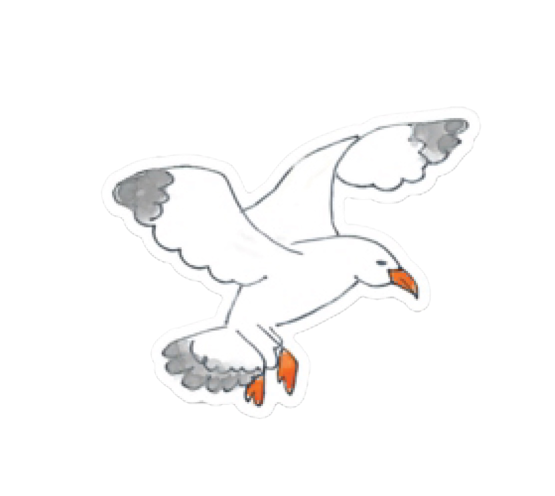Seagull Sticker