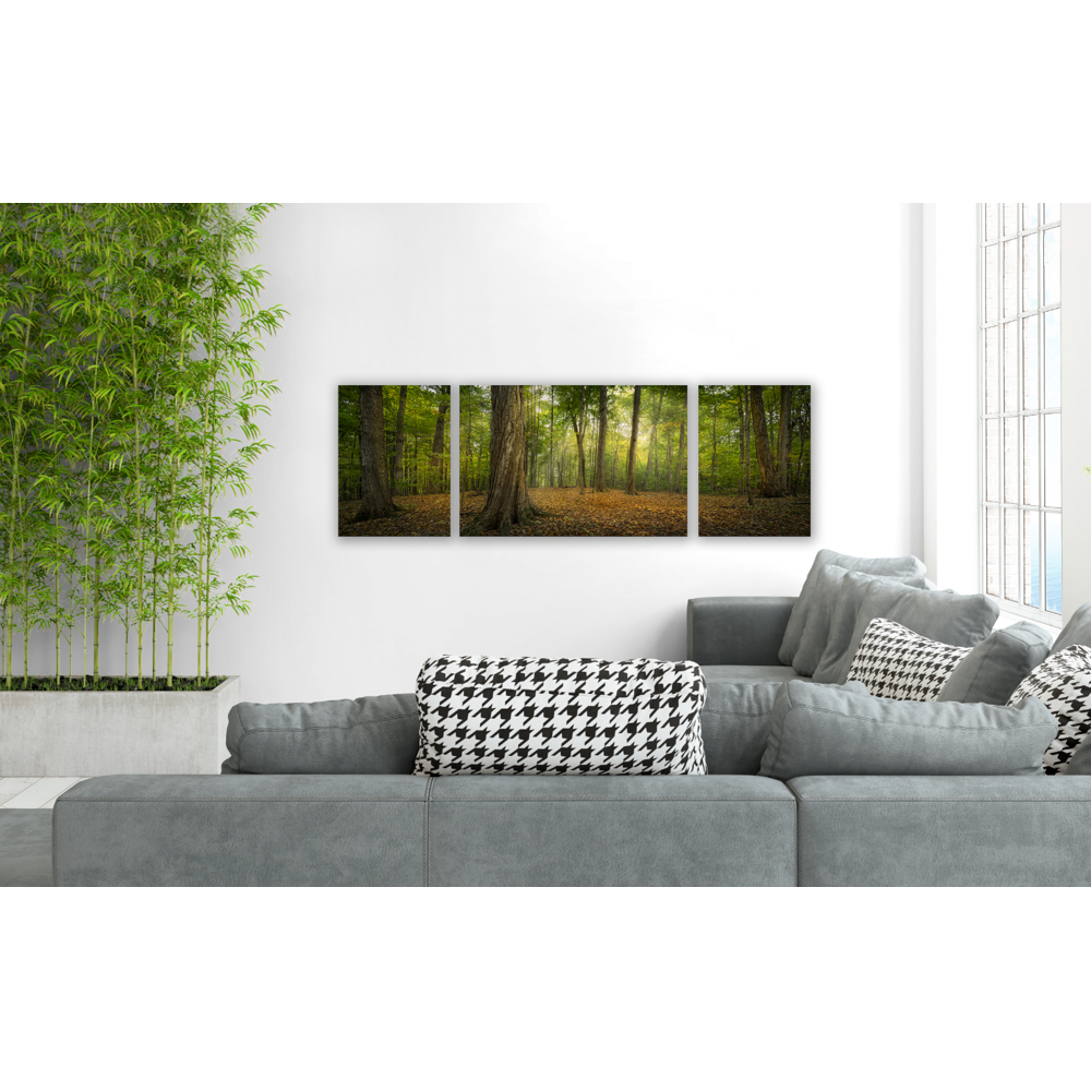 Oh, How Lovely Was the Morning Triptych (48x16 Gallery Wrap), , large image number 2