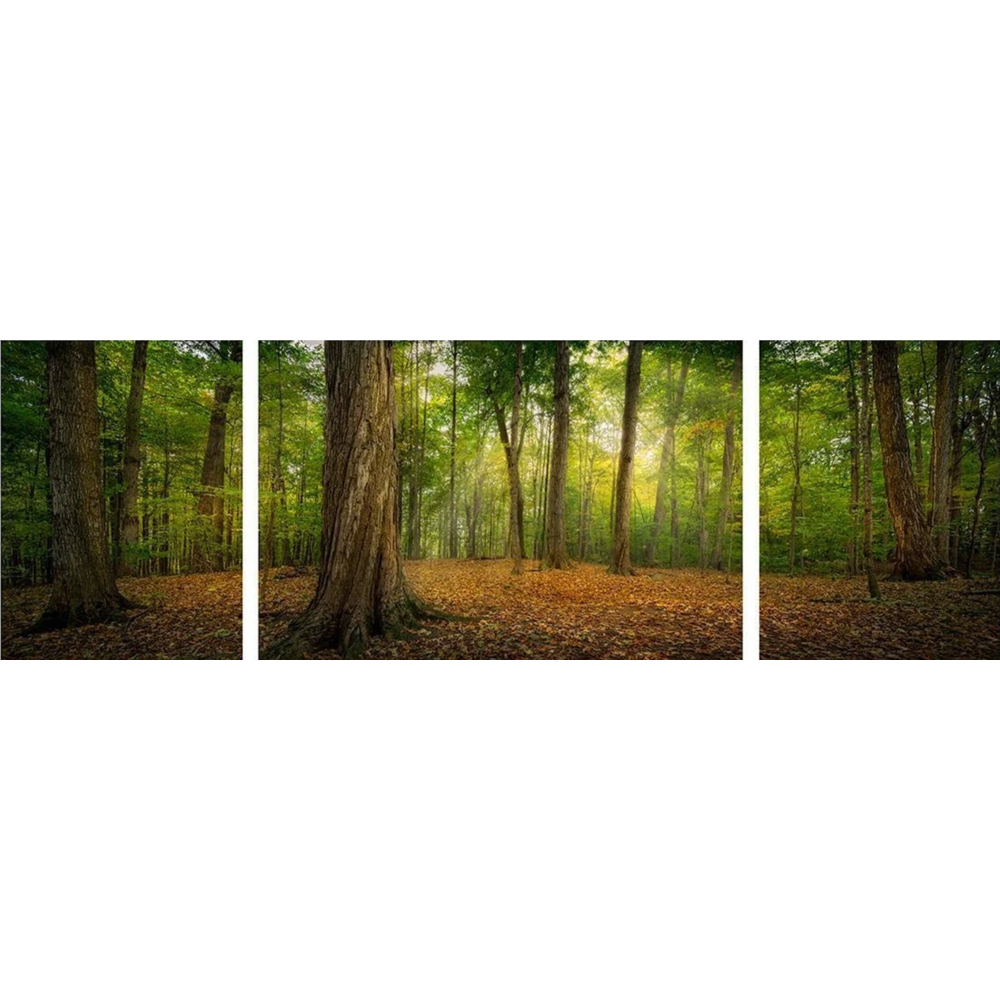 Oh, How Lovely Was the Morning Triptych (48x16 Gallery Wrap),  Oh, How Lovely Was the Morning Triptych (48x16 Gallery Wrap)