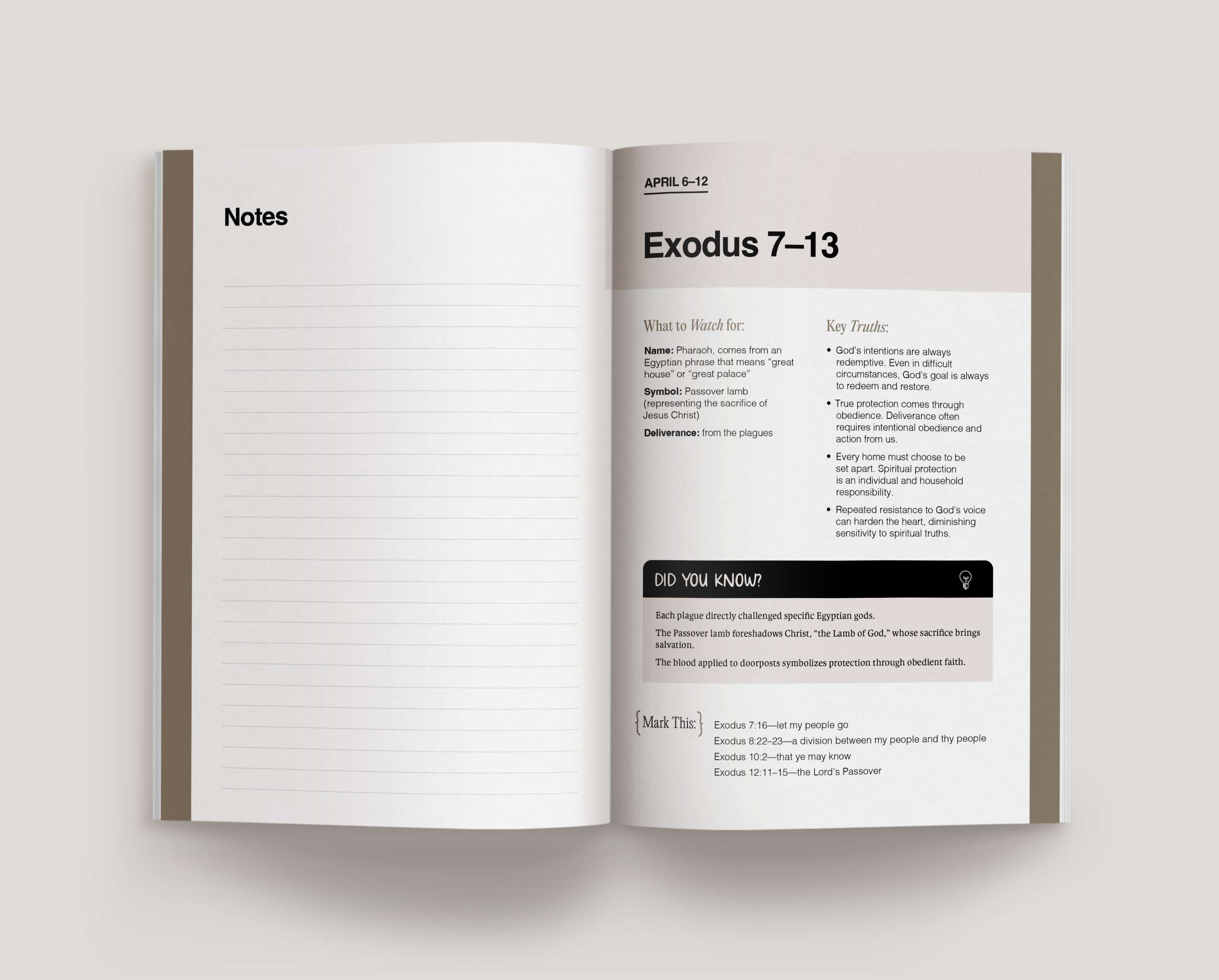 Don't Miss This Old Testament 2026 Study Journal, , large image number 5