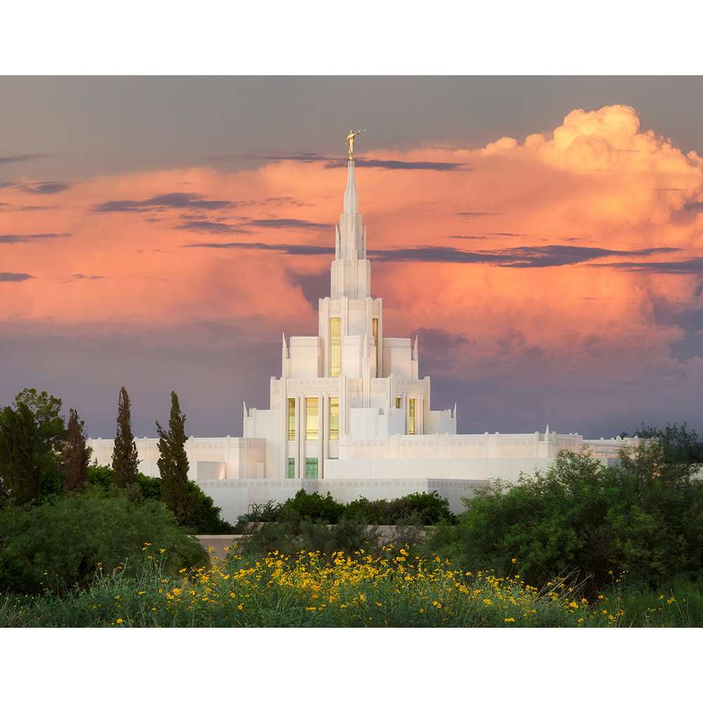 Phoenix Arizona Temple - Sunset Northeast Print (11x14), , large image number 0