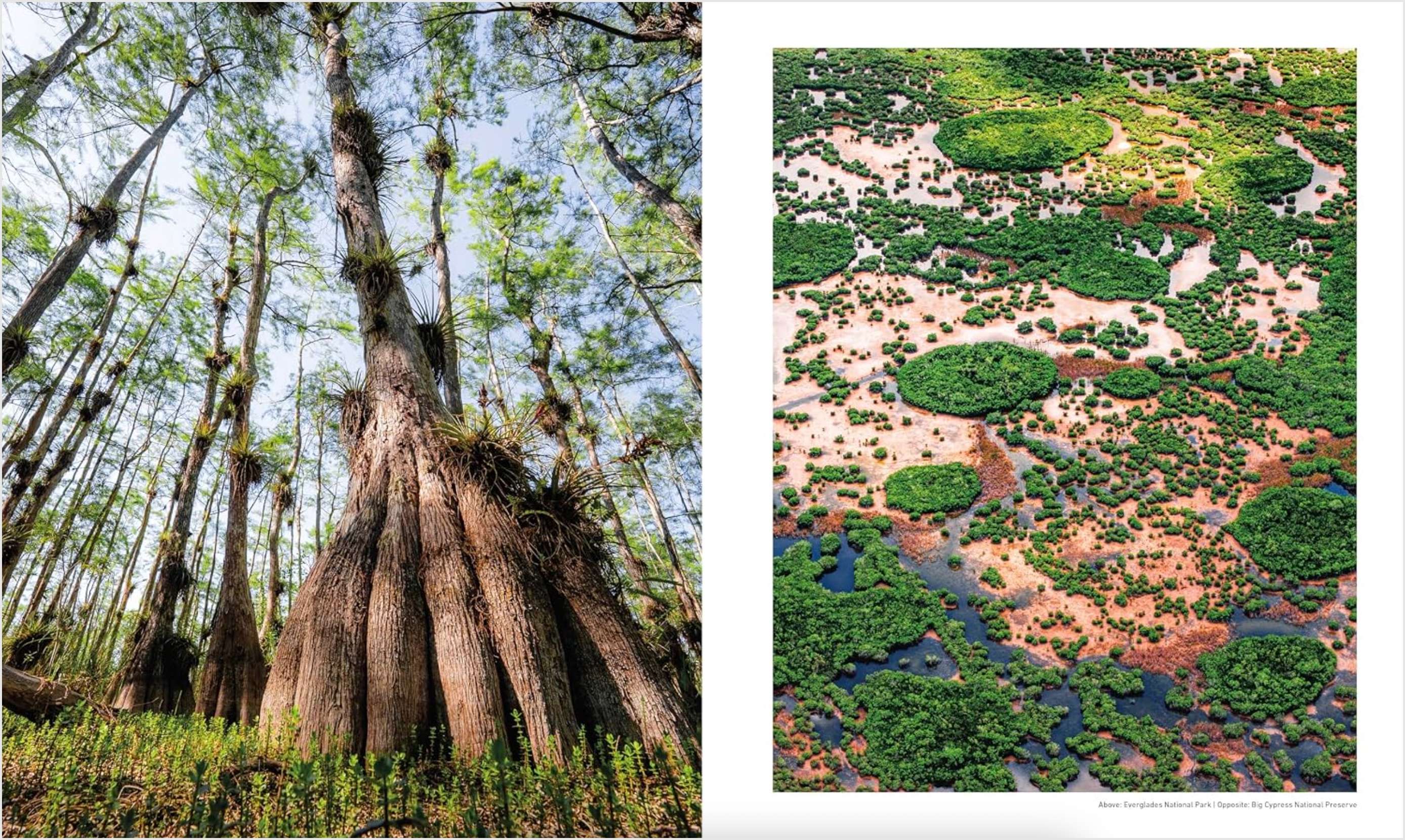 Otherworldly America, , large image number 3