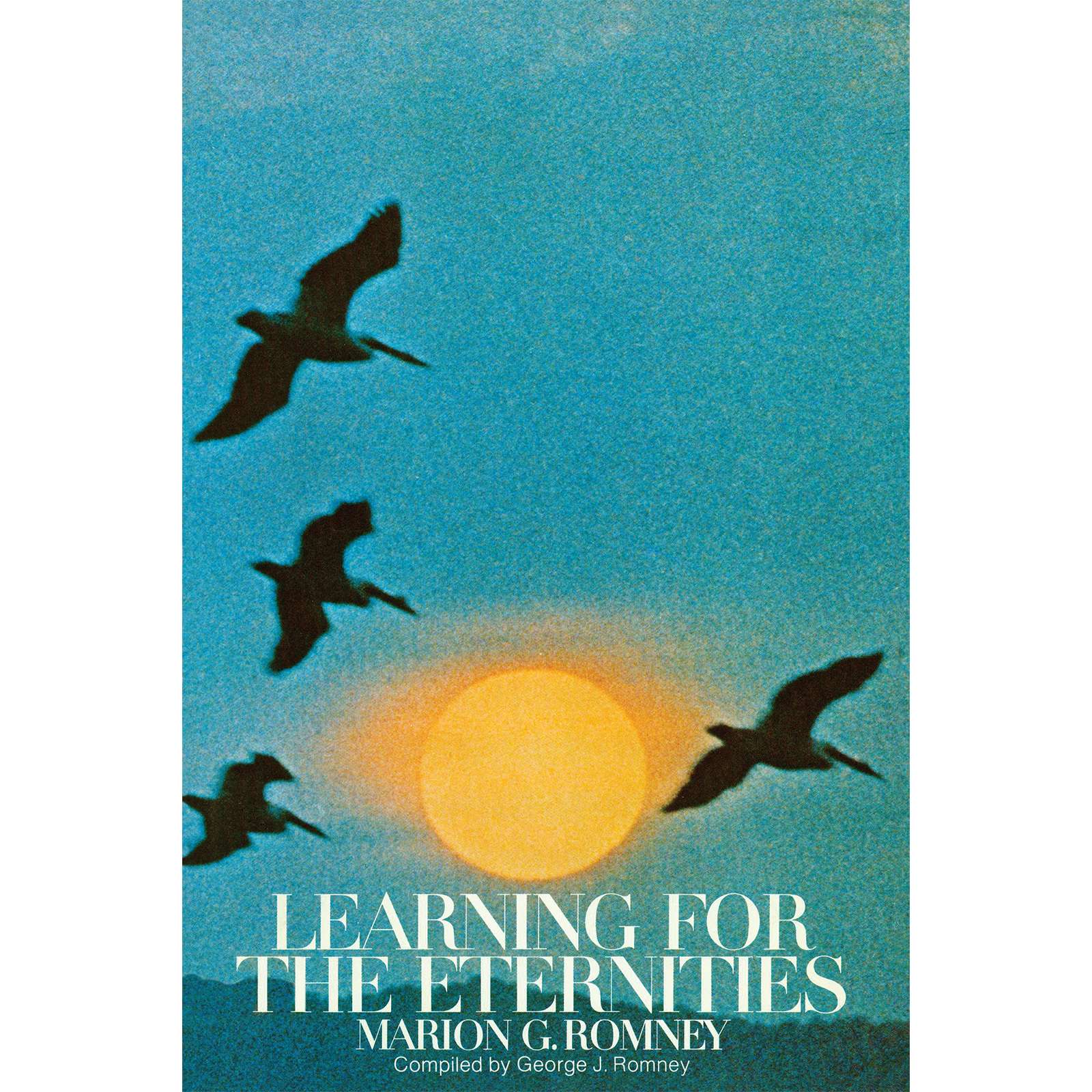 Learning for the Eternities