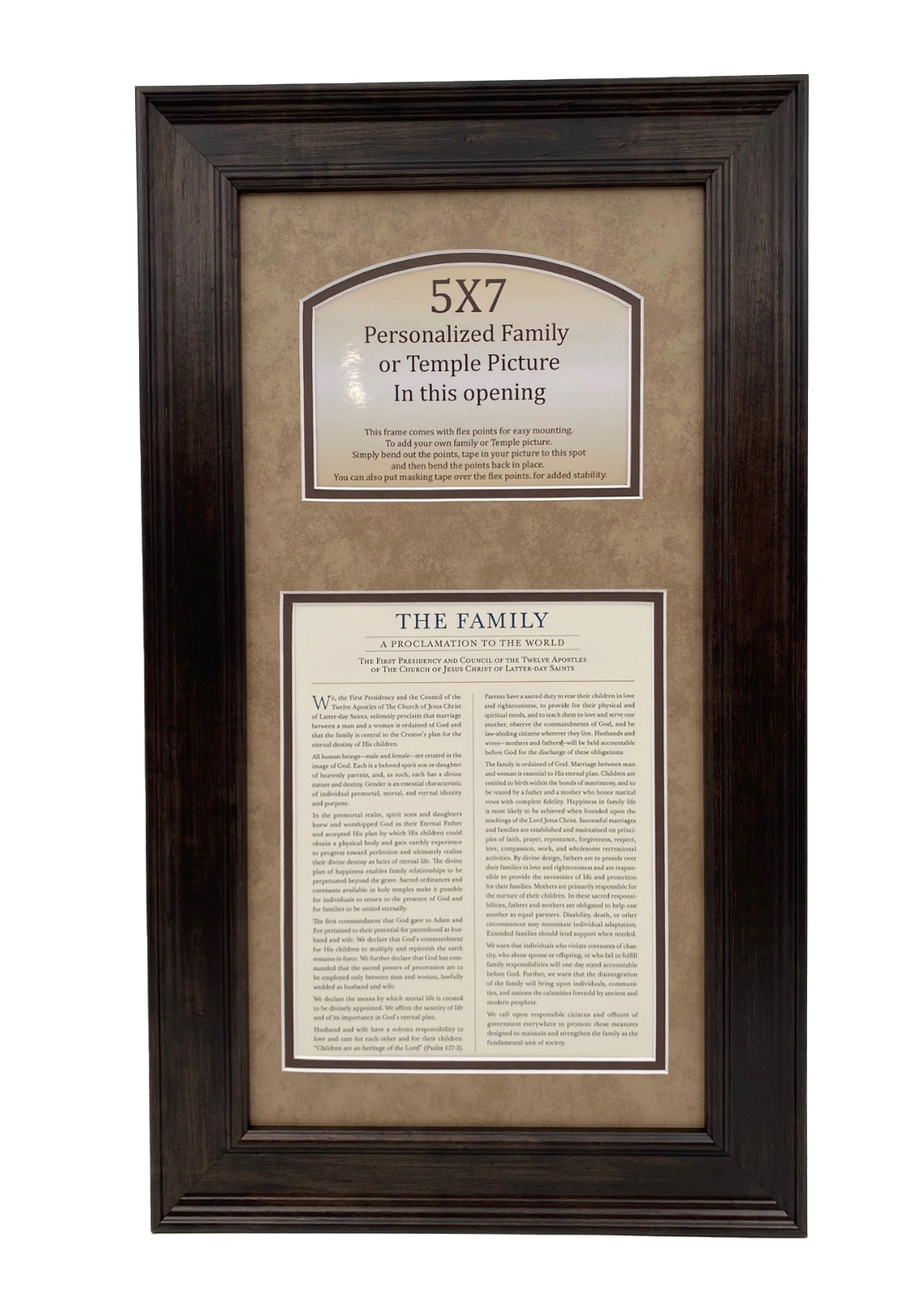 Family Proclamation (10x20 Horizontal Framed Art)